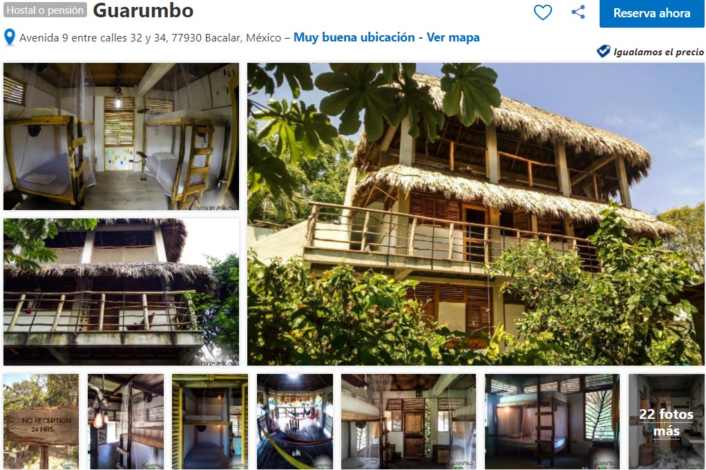 Guarumbo - Bacalar